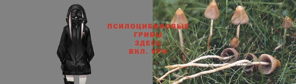 спайс Армянск