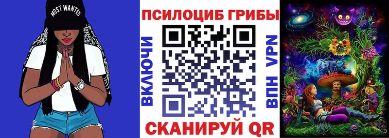 Псилоцибиновые грибы Psilocybine cubensis  Фатеж 