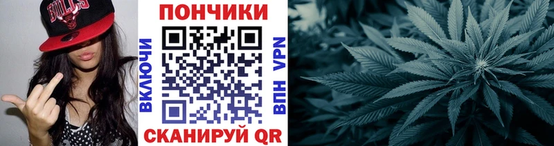 Бошки марихуана OG Kush Фатеж